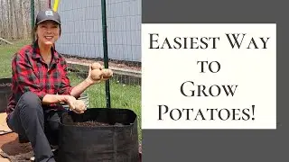 Grow Potatoes in Containers!  Easily Grow Potatoes with Limited Space!