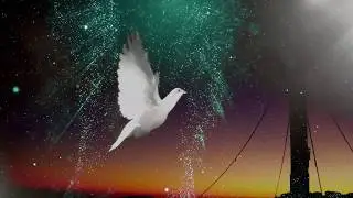 christian video background dove flying vfx footage