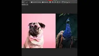 Auto select in Move Tool of Photopea 