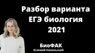 Разбор варианта 2021 | Биология ЕГЭ