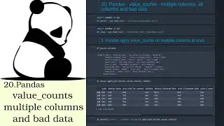 20. Pandas   value_counts   multiple columns, all columns and bad data