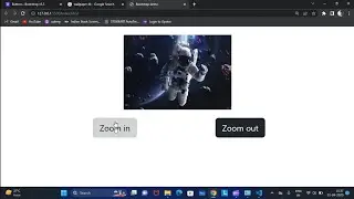 Zooming in or out of an image web application in vs code || Web development