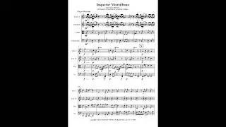 Inspector Montelbano By Franco Piersanti Arranged for String Quartet by Andrew Hodges