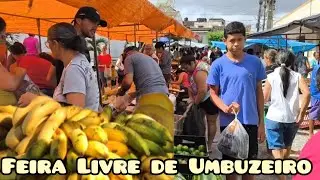 FEIRA LIVRE DE UMBUZEIRO PARAÍBA 16/11/2024