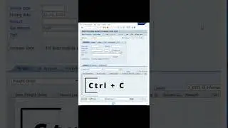 Select and Copy Information in SAP GUI 