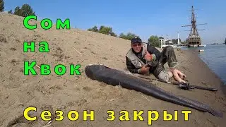 КРУПНЫЙ СОМ в ЦЕНТРЕ ГОРОДА. Я ПОБИЛ СВОЙ РЕКОРД.