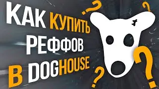 Как купить рефералов в DogHouse