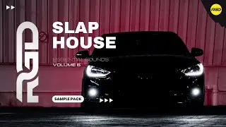 Slap House Sample Pack - Essentials V6 | Samples, Vocals & Presets