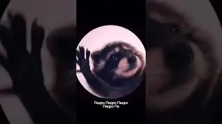 PEDRO | ПЕДРО ПЕДРО | TRENDS 2024🔥 