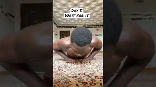 1000 daily push up (2 weeks result)