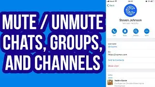 How to Mute / Unmute Chats, Groups, and Channels on Telegram