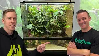 HUGE Exo Terra Terrarium Build with @JoshsFrogs!