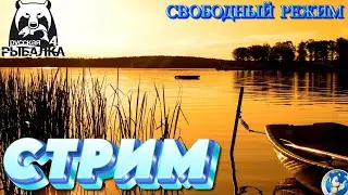 🌟СТРИМ🌟РОЗЫГРЫШИ ПРИЗОВ🌟Русская Рыбалка 4(РР4)🌟