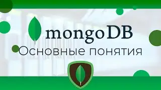 MongoDB #1 Основные понятия (Basic Concepts)