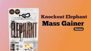 ABSOLUTE NUTRITION Knockout Elephant Mass Gainer Review Punjabi Muscle #weightgain