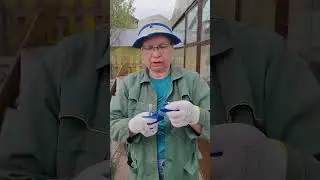 Ничего страшного, ну торчат и торчат...