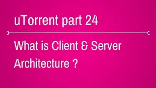 What is Client and Server Architecture