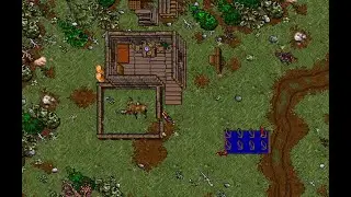 Ultima 7 Building a House