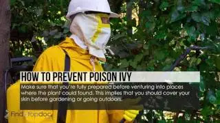 What Is Poison Ivy?