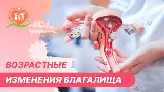 👉 Возрастные изменения влагалища