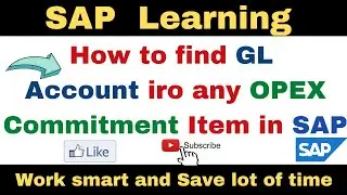 How to find GL Account mapped with any OPEX Commitment Item in SAP II How to search in SAP FICO II