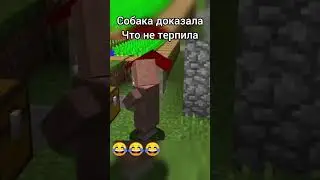 Собака не терпила😂😂😂 #minecraft #майнкрафт #shorts #рекомендации #youtubeshorts #youtube #memes #мем