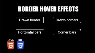 Animated Border Hover Effects | HTML & CSS Tutorial