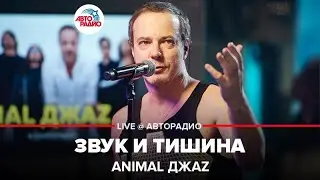 Animal ДжаZ - Звук и Тишина (LIVE @ Авторадио)