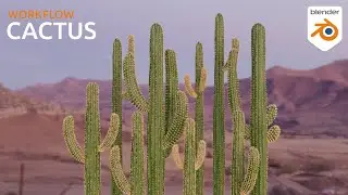 3D Cactus: Blender Timelapse