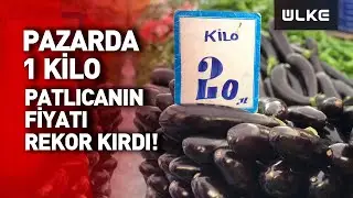 Antalya'da Yaşanan Fırtına Seraları Etkiledi, Patlıcan 20 Lira Oldu!