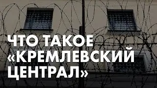 Где сидят адвокаты Навального — рассказывает Ольга Романова, глава фонда «Русь Сидящая»