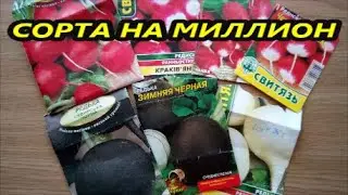 Срочно посейте и вы! Что мы сажаем на огороде на протяжении всего сезона? Урожай весь сезон легко!