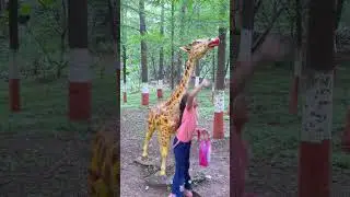 Tiger 🐯🍅👍, Duck 🦆🍅👍 & Giraffe 🦒🍅……… ? 