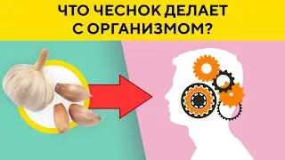 Что Будет с Организмом, Если Есть ЧЕСНОК Каждый День