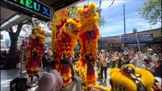 THQ lion dance performance grand opening for yolo yolo and lucki kebab at Cabramatta #liondance2024