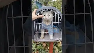 Съездили на УЗИ
