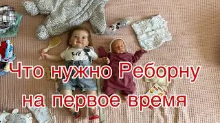 Что нужно Реборну на первое время