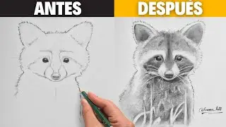 ¡Descubre el Mejor Método para Dibujar un Mapache!