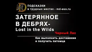 Затерянное в дебрях, Черный Лес /Lost in the Wilds ESO Blackwood. Достижение для получения питомца.