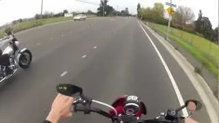 HARLEY WHEELIES