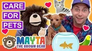 Teaching Kids to Care for Pets | Videos for Toddlers