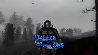 S.T.A.L.K.E.R Бог с Нами. Обзор