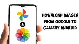 How To Download Images From Google To Gallery Android