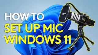 How to setup a microphone on windows 11.