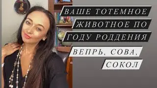 Вепрь, Сова, Сокол - ваше тотемное животное по году рождения#