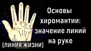 Хиромантия. Значение линий на руке. Линия жизни. Валтея.