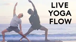 Live Yoga Flow...With Duke and Indy