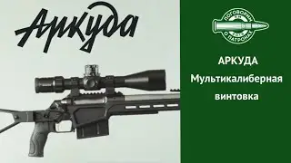 Мультикалиберная винтовка Аркуда от МОК