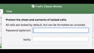 Micorsoft Office: Excel - Worksheet Protection