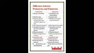 Difference between Prokaryotic and Eukaryotic cell